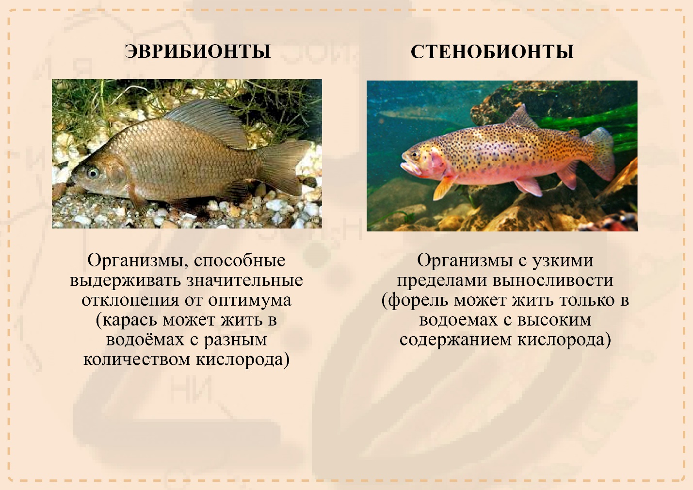 Примеры эврибионтов и стенобионтов