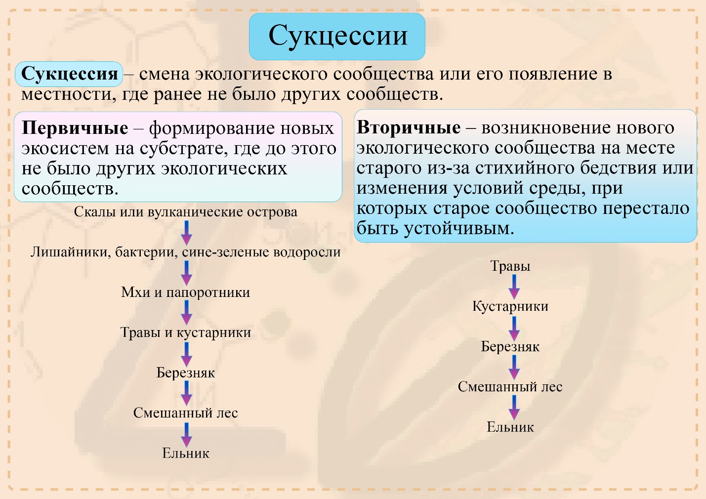 Сукцессии последовательность
