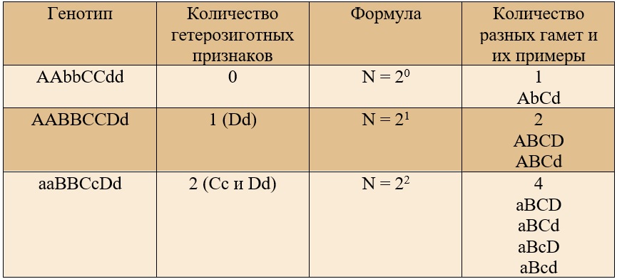 примеры определения количества гамет