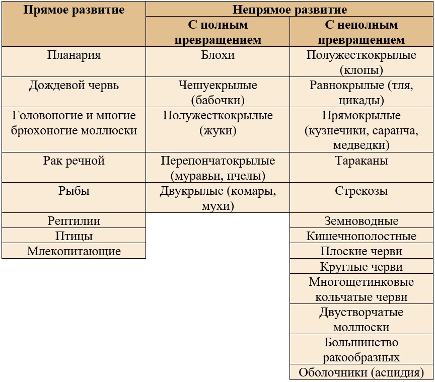 Полное и неполное развитие