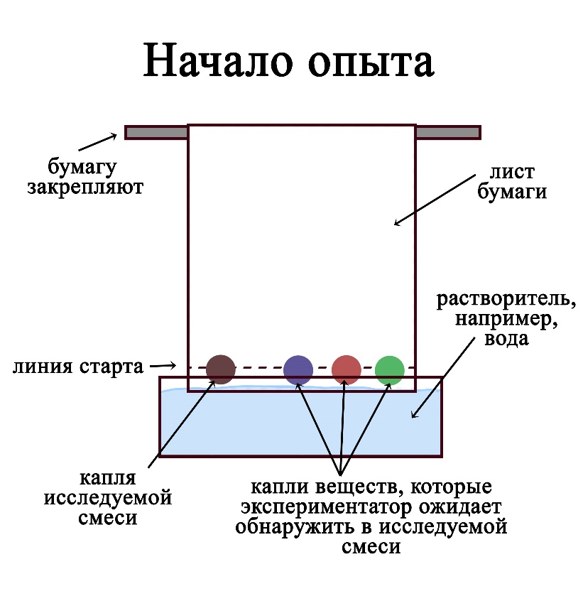 В методе бумажной хроматографии на стартовой линии делают капли исследуемых жидкостей, а рядом – капли известных веществ