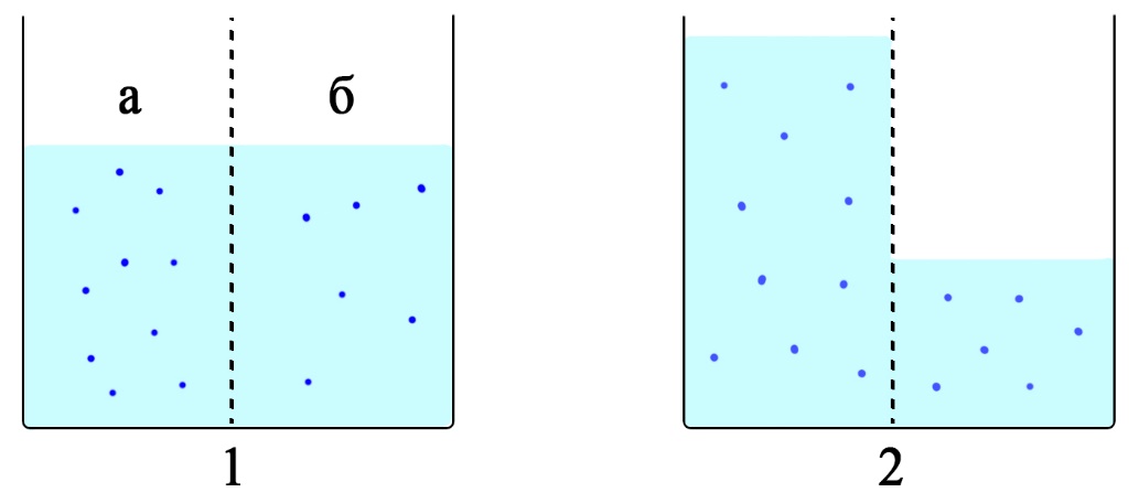 Осмос. 1 – начало эксперимента: а – раствор с большей концентрацией соли (соль показана синими точками), б – раствор с меньшей концентрацией соли. 2 – через некоторое время уровень воды в растворе «а» поднимается за счет движения воды из раствора «б» через полупроницаемую мембрану, концентрация растворов а и б при этом выравнивается