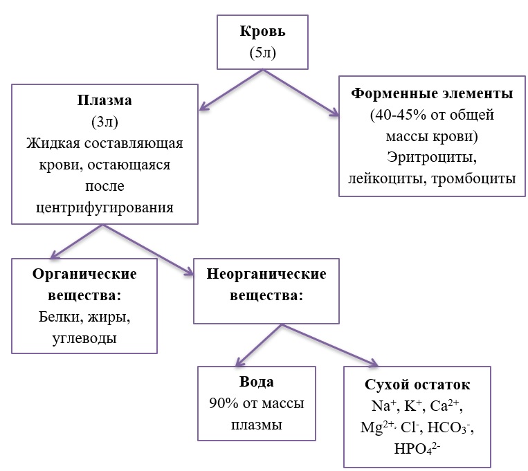 Химический состав крови и плазмы