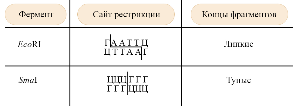 Как образуются липкие концы