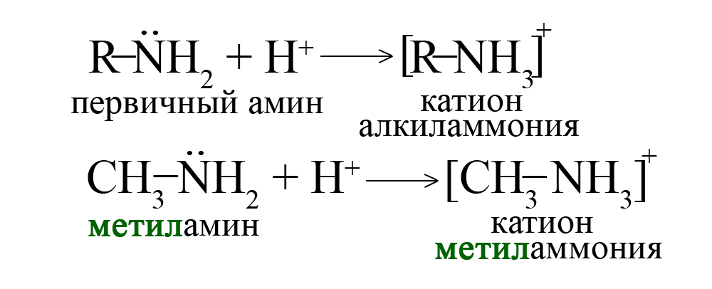 Образование катионов при реакции первичных аминов с кислотами