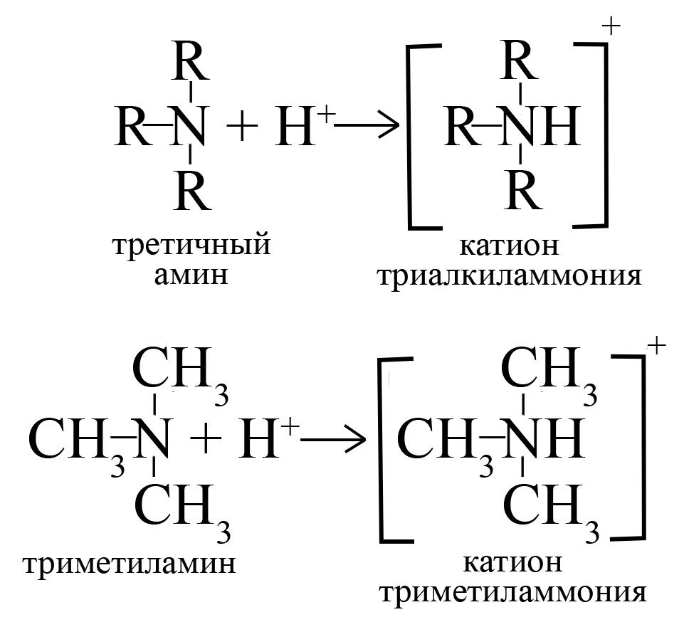 Образование катионов при реакции третичных аминов с кислотами