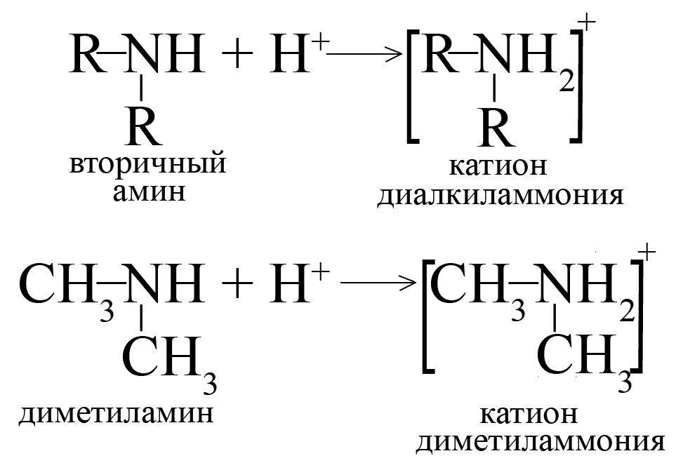 Образование катионов при реакции вторичных аминов с кислотами