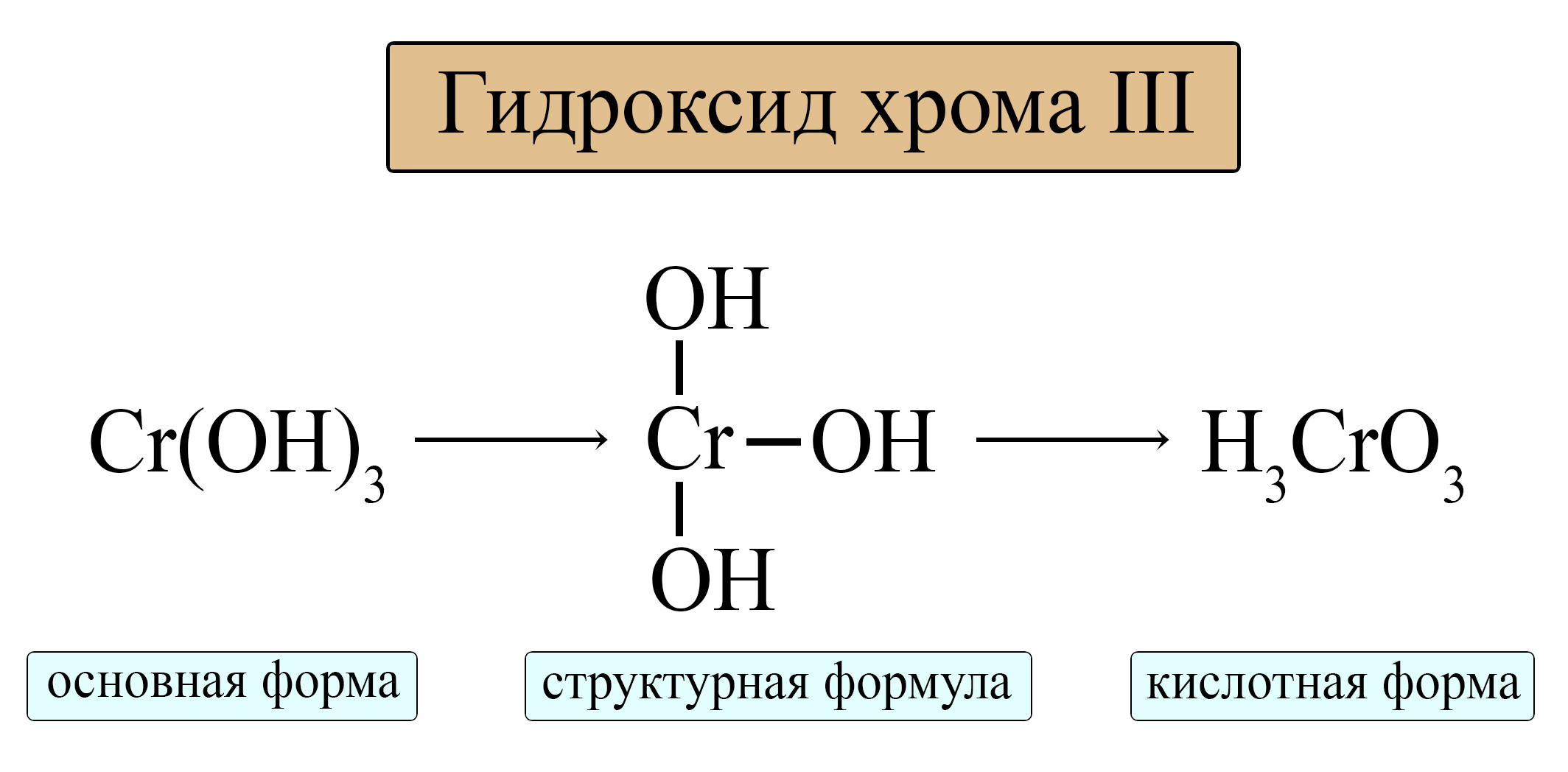 Амфотерные гидроксиды в кислотной и основной форме