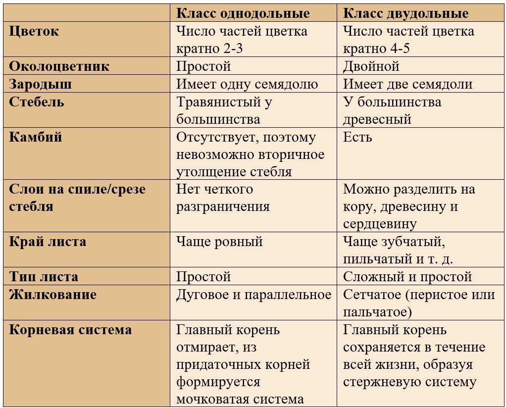 жизненная форма однодольных покрытосеменных растений чаще всего