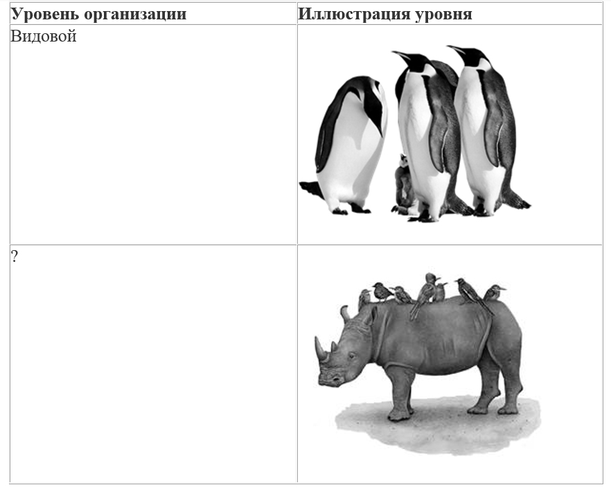 Вариант по биологии. Линия 1. Задания ФИПИ. Вариант 4 2026. Задание №7