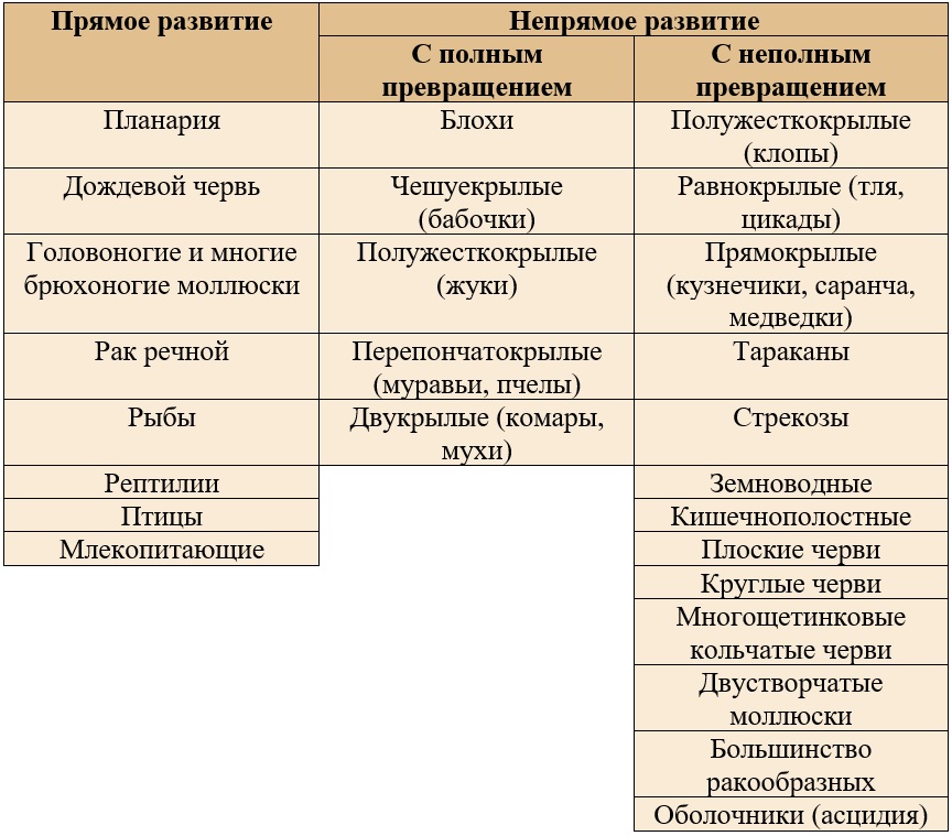 Полное и неполное развитие Полное и неполное развитие