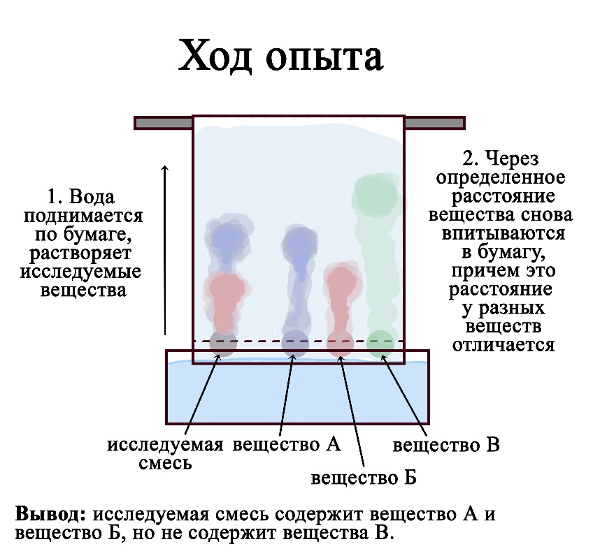 Мономеры какого биополимера представлены на рисунке