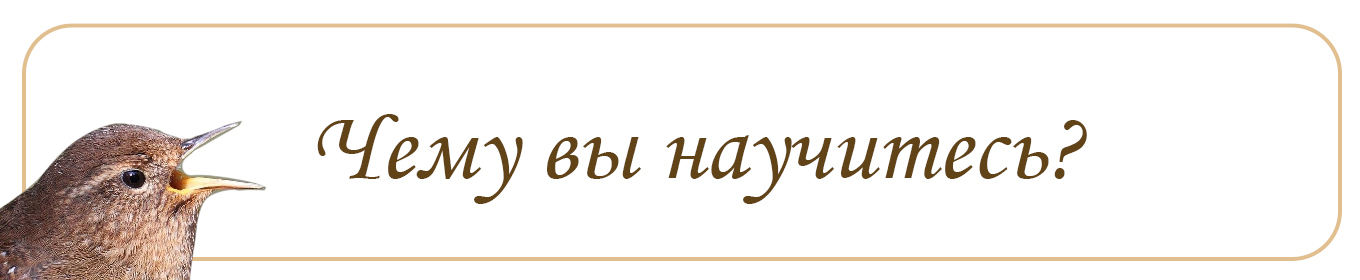 Короткое содержание курса Цели курса