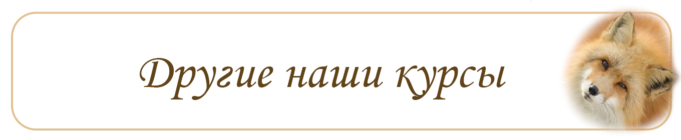 Другие наши курсы Запишитесь на другие наши курсы