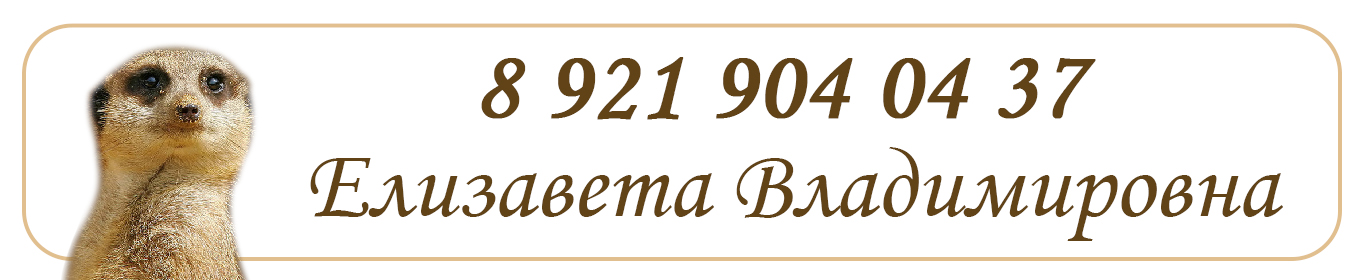 Контакты Позвоните нам по телефону