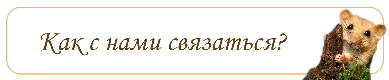 Как с нами связаться Узнайте подробности в нашем ВК или по телефону