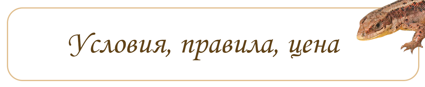 Условия, стоимость курсов для учителей Сколько стоит курс для учителей?
