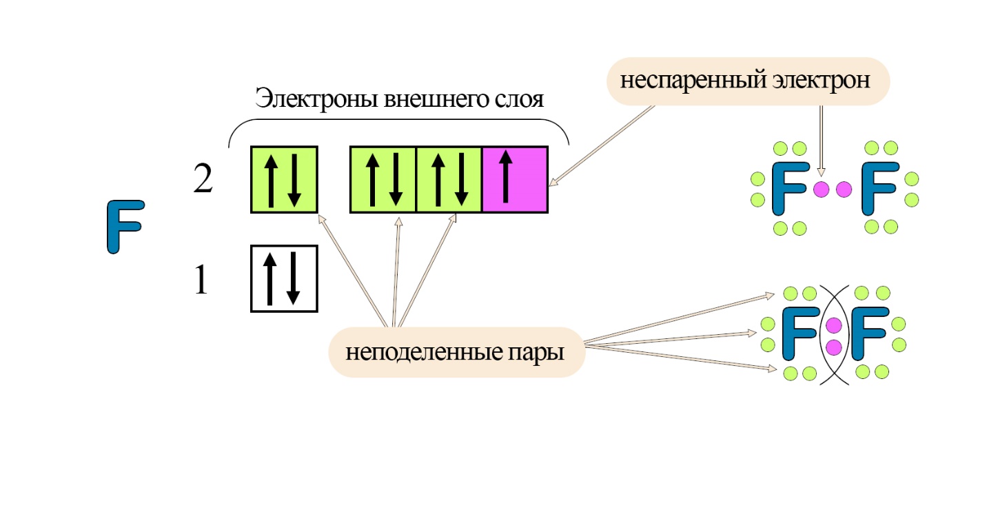 Ковалентная неполярная связь у фтора Объединение электронов при образовании ковалентной связи